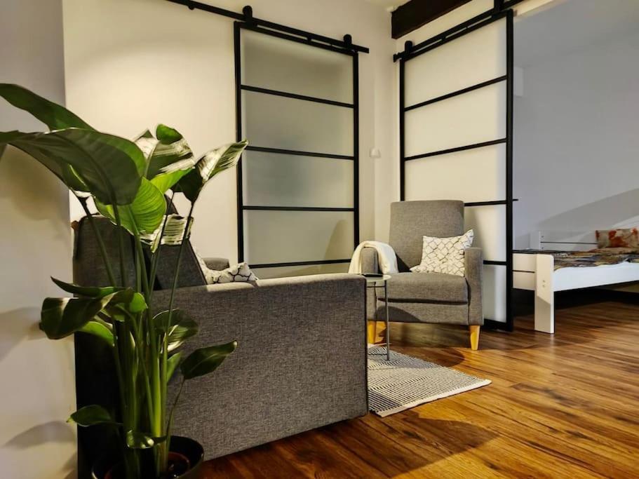 דירות קריניצה זדרוי Loft W Starej Wozowni מראה חיצוני תמונה